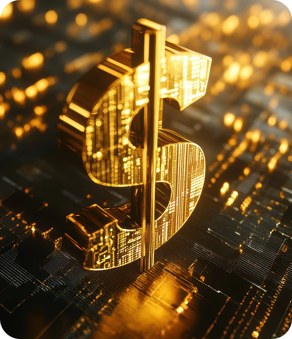 入金